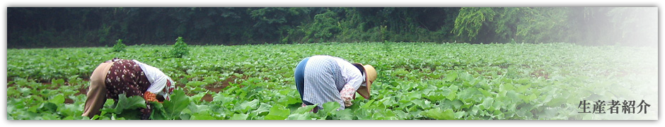 生産者紹介｜農事組合法人マルツボ